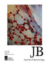 JOURNAL OF BACTERIOLOGY杂志封面